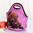 thumbnail image 2 of Frogued Portable Striped Dot Bear Print Insulated Cooler Picnic Food Lunch Box Bag Pouch (Type 1#), 2 of 13