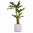 thumbnail image 1 of Vintage Home Artificial Faux Real Touch 66" Tall Banana Tree With Burlap Kit And Fiberstone Planter, 1 of 2