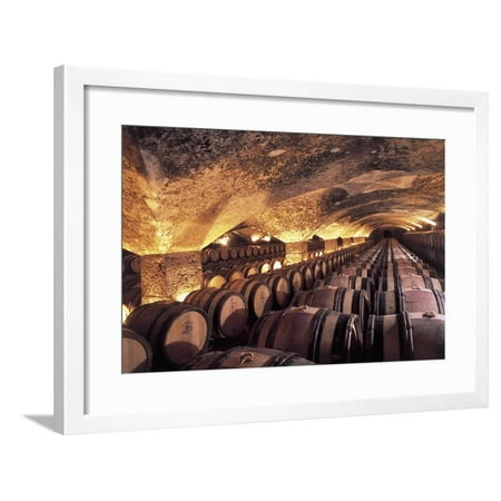 High Angle View of Wooden Barrels Maturing Wine in a Winery, Meursault Castle, Burgundy, France Framed Print Wall