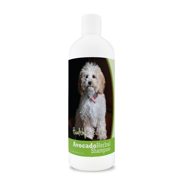 Healthy Breeds 840235157199 Cockapoo Avocado Herbal Dog Shampoo