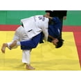 thumbnail image 2 of Judo Wall Mural by Wallmonkeys Peel and Stick Graphic (36 in W x 27 in H) WM44899, 2 of 4
