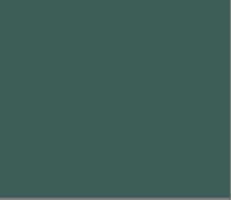 Sage Grey