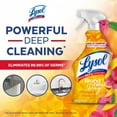 thumbnail image 4 of Lysol® All Purpose Cleaner Trigger - Brand New Day Mango Hibiscus, 650 mL, 4 of 7