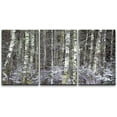 thumbnail image 3 of PixonSign Canvas Print Wall Art Cracked Paint Texture Snow on Forest Trees Nature Wilderness Illustrations Modern Art Rustic Landscape Relax/Calm Warm for Living Room, Bedroom, Office - 24"x36"x3, 3 of 5