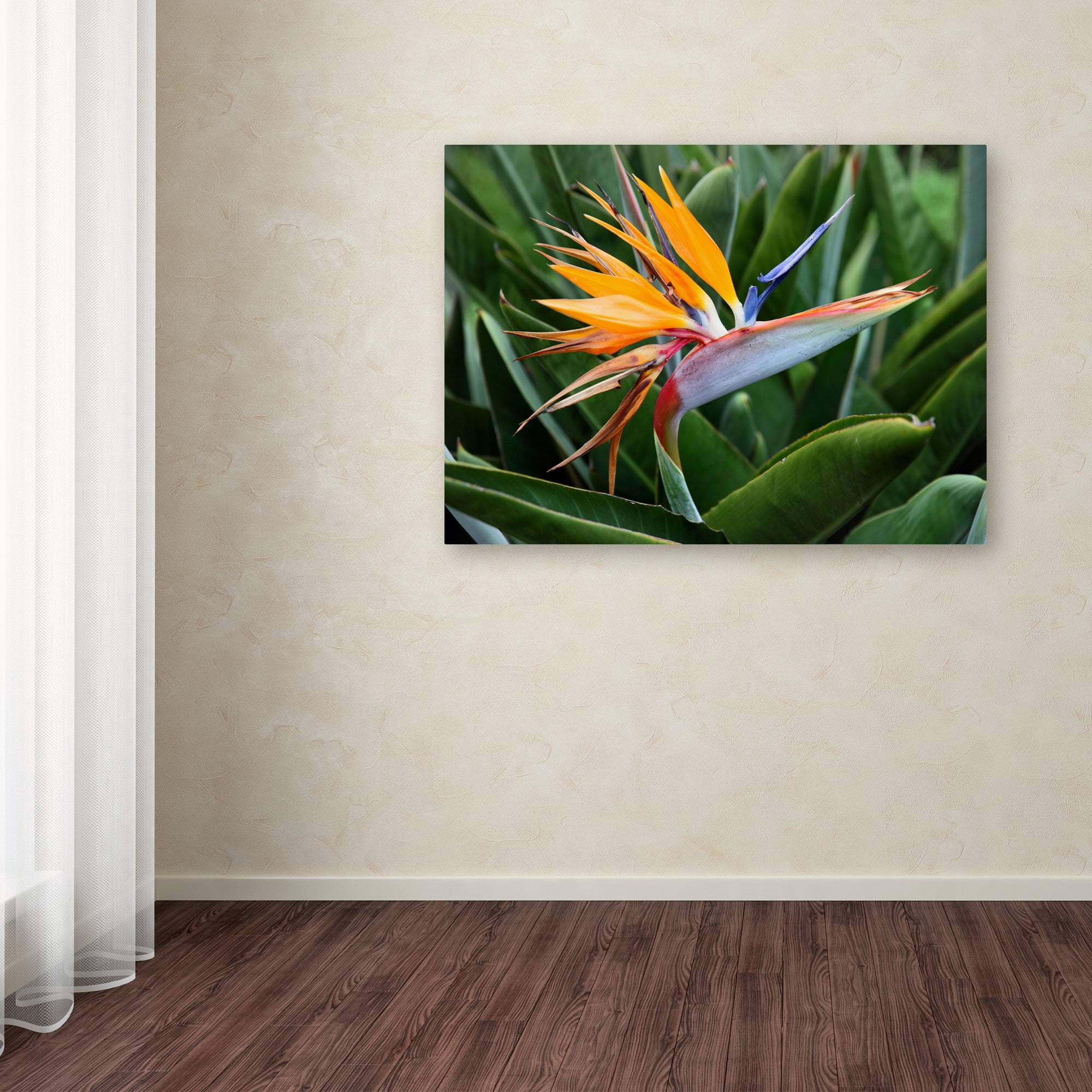 Pierre Leclerc 'Bird of Paradise' Canvas Art
