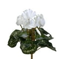 thumbnail image 1 of Vickerman 11" White Cyclamen Bush, 1 of 1