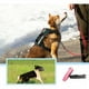thumbnail image 4 of Arnes Para Perros Cinta Reflejante Viajes Y Paseo Perros 4pz, 4 of 5