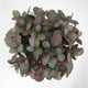 thumbnail image 4 of 7 Artificiales Horquilla Plantas De Hoja De Vena Decoración De Flores De Seda Follaje Hierba Casa, 4 of 9
