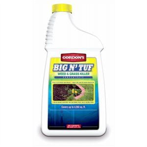 PBI GORDON CORP QT Conc Weed/Grass Kill 9541225 (Best Chemical To Kill Grass)