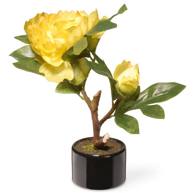 Potted Yellow Carnations with Black Round Ceramic Base