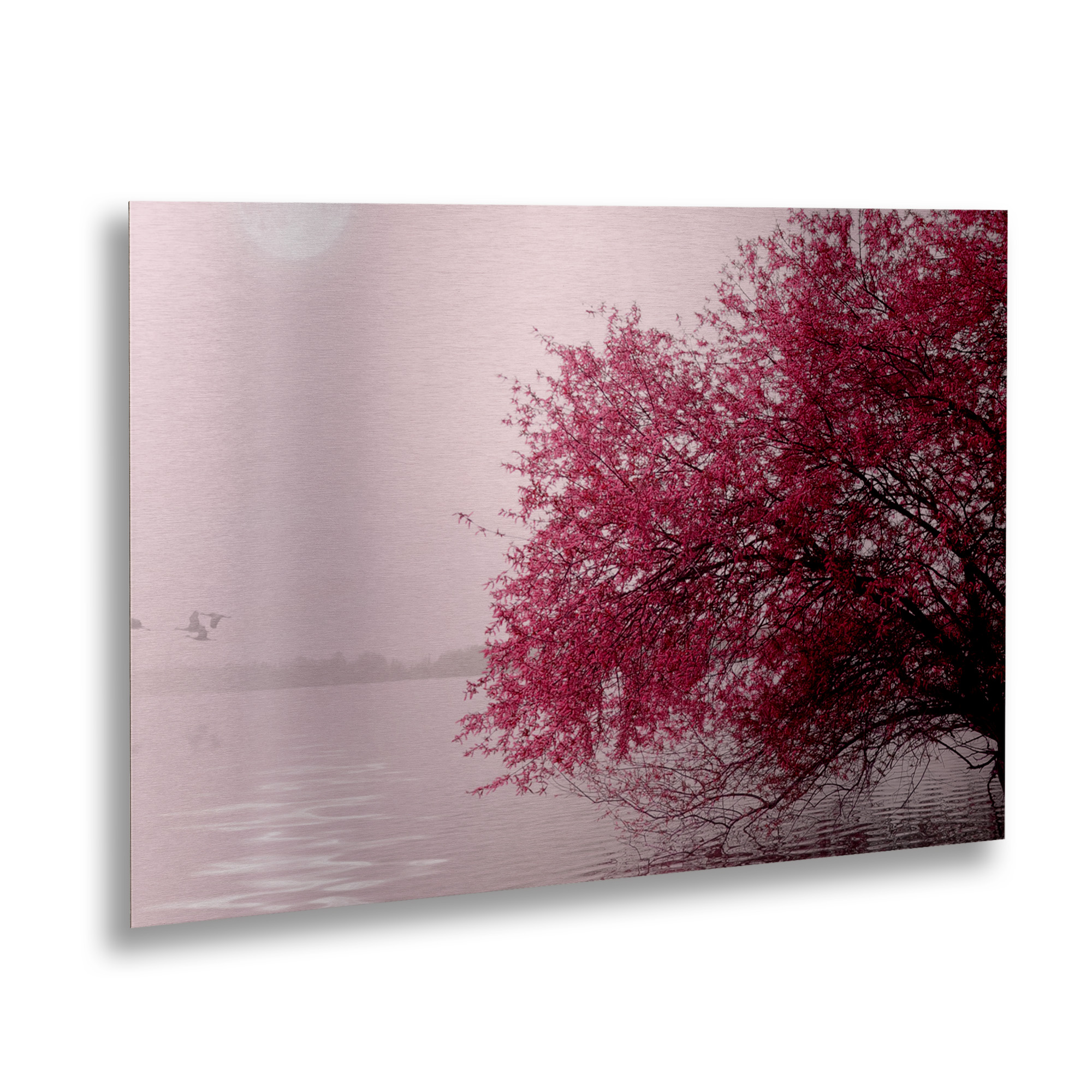 Trademark Fine Art 'Full Moon on the Lake' Brushed Aluminum Wall Art Art by Philippe Sainte-Laudy