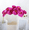 Rose Red, variant on 27.5 Inch 8 heads Artificial Phalaenopsis Flowers Branches 1 pc Silk Orchids Flowers Stem Plants for Home Office Wedding Decoration