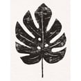 thumbnail image 2 of Warren, Annie 19x24 White Modern Wood Framed Museum Art Print Titled - Pressed Tropical Leaf I, 2 of 4