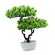 thumbnail image 4 of Árbol bonsái artificial para interiores, planta artificial, adorno decorativo en maceta Verde, 4 of 9