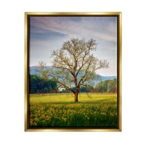 Stupell Lone Tree Wildflower Meadow Landscape Photography Gold Floater Framed Art Print Wall Art