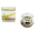 thumbnail image 3 of VGEBY 2pcs 1:12 Simulation Miniature Fish Bowls Dollhouse Living Room Accessory Decor, 3 of 8