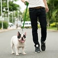 thumbnail image 6 of Downtown Pet Supply Long Lead Leash for Dog Training, Green, 100' Dog Leash, 6 of 6
