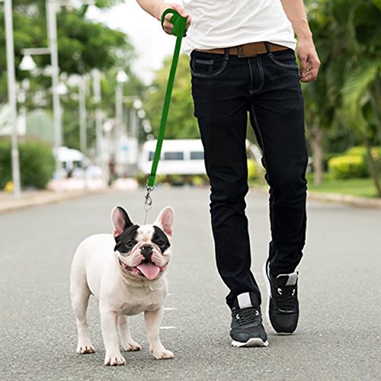 Downtown Pet Supply 20' Dog Training Lead, Green photo 5