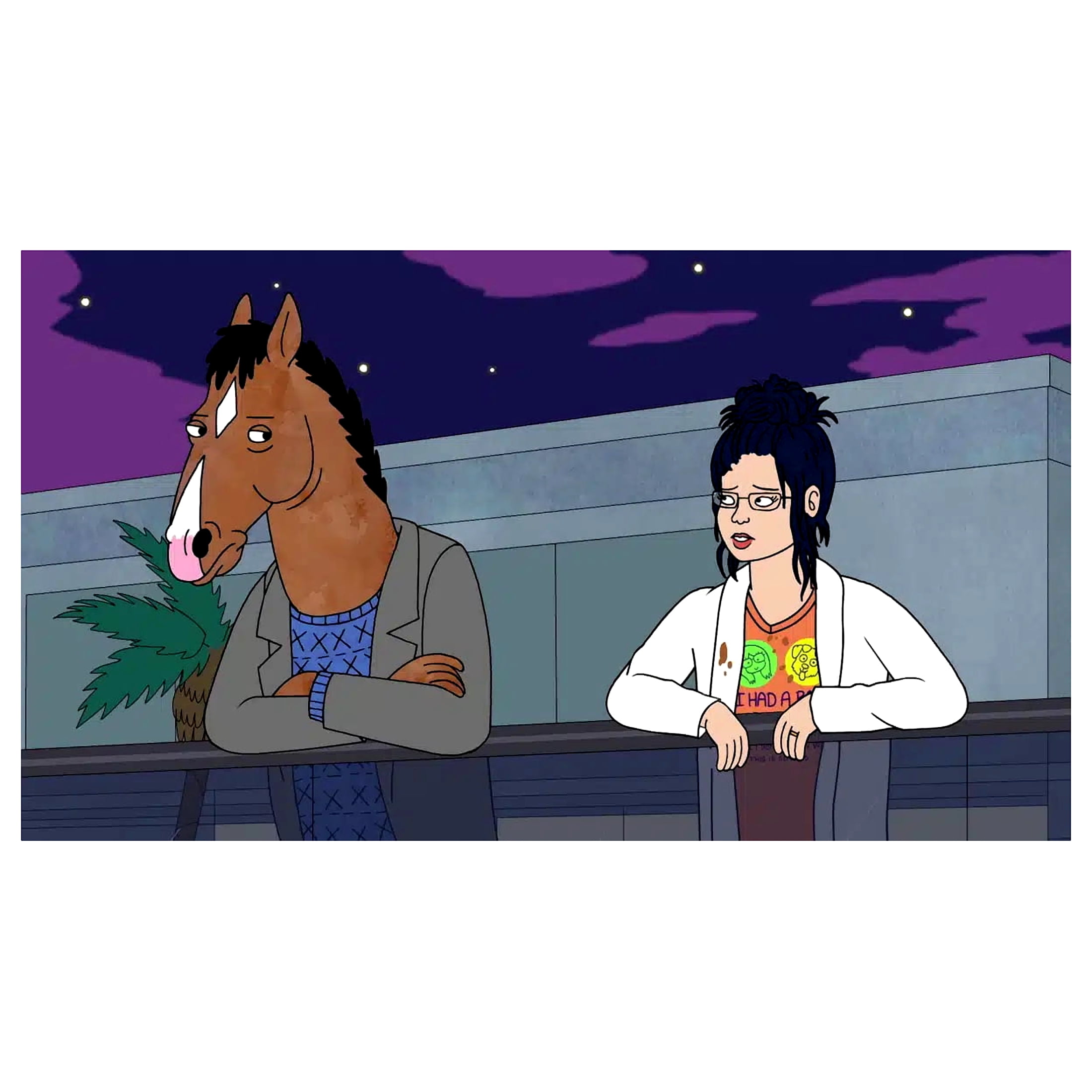 Bojack Horseman: The Complete Series Seasons 1-6 (Blu-ray)