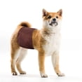 thumbnail image 7 of HOMEIORA Washable Dog Diapers - Washable Male Small Dog Belly Wrap, Pack of 3 - (Black, Brown, Gray, X-Small), 7 of 7