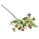 thumbnail image 1 of Flores artificiales de frutas vívidas hechas a mano, bayas falsas para Blanco, 1 of 9