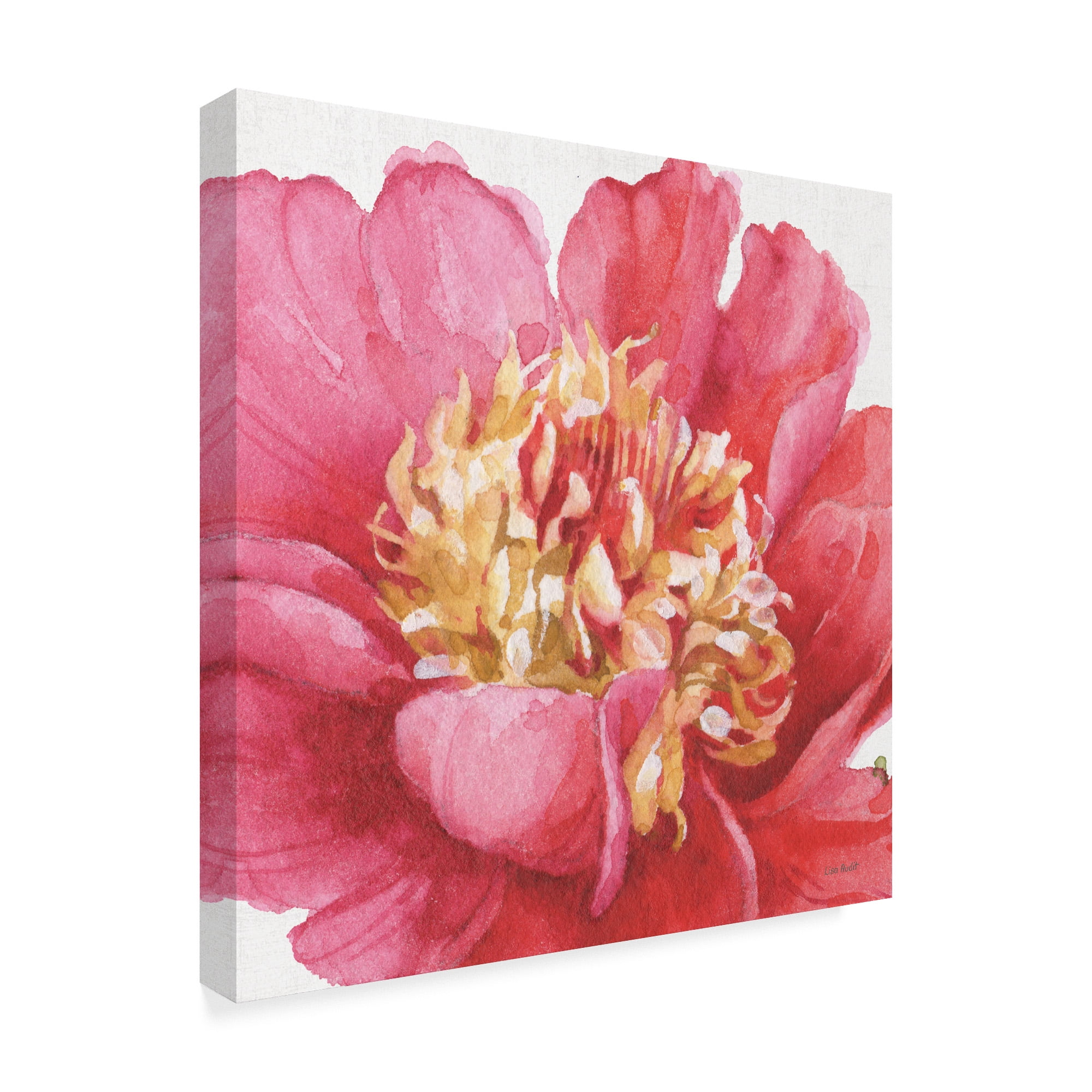 Trademark Fine Art 'Pink Garden V' Canvas Art by Lisa Audit