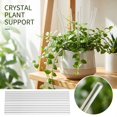 thumbnail image 5 of Plant Support Stakes, Acrylic Clear Potted Flora Fixed Rod Indoor Outdoor Garden Sticks Botanical Growth Tool Transparent Vegetation Stem Training Mounting Bracket, 15.75in, 5 of 6
