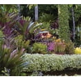 thumbnail image 1 of Pre-Owned Secret Gardens (Hardcover) 1419715801 9781419715808, 1 of 1
