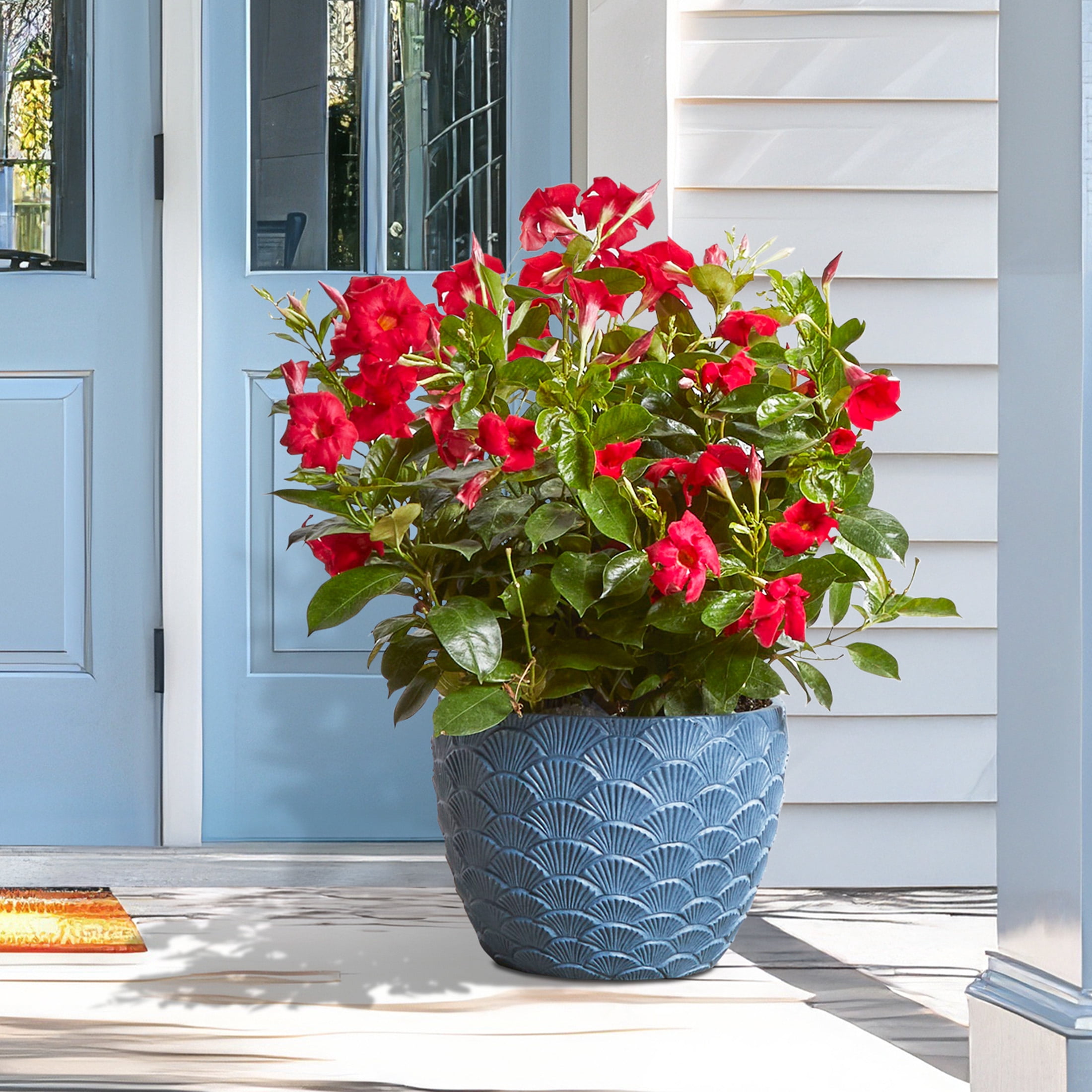 Mainstays Isla 12" x 12" x 9" Round Blue Paradise Plastic Planter