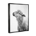 thumbnail image 4 of Stupell Industries Sheep Bathroom Splash Animals & Insects Painting Black Floater Framed Canvas Art Print Wall Art, 17 x 21, 4 of 10