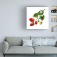 thumbnail image 3 of Grace Popp 'Strawberry Study II' Canvas Art, 3 of 3
