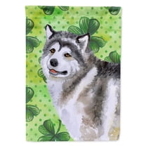 Carolines Treasures BB9812GF Alaskan Malamute St Patricks Flag Garden Size  Small multicolor