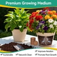 thumbnail image 5 of ZeeDix 100Pcs 40mm Compressed Coco Coir Fiber Potting Soil- Organic Coco Coir Pellet Fiber Soil for Planting Bonsai, Herbs, Plants, Flowers and Vegetables, 5 of 10