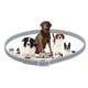 thumbnail image 2 of Collares Grandes para Perros y Gatos, Collares Naturales para Perros y Gatos, Repelente de Pulgas, Ácaros, Plagas, Larvas, Piojos, Collares Antipulgas Ajustables Impermeables para Gatos Namotu LKX-0964, 2 of 7