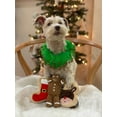 thumbnail image 2 of Midlee Wreath Jingle Bell Decorative Dog Collar (Large), 2 of 5