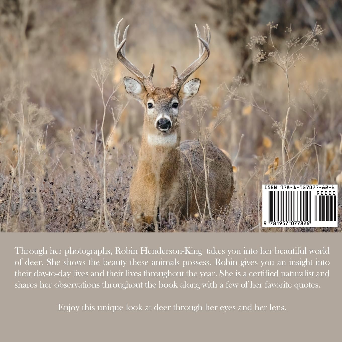 The Beauty of Deer: Photographs and Field Notes, (Paperback)