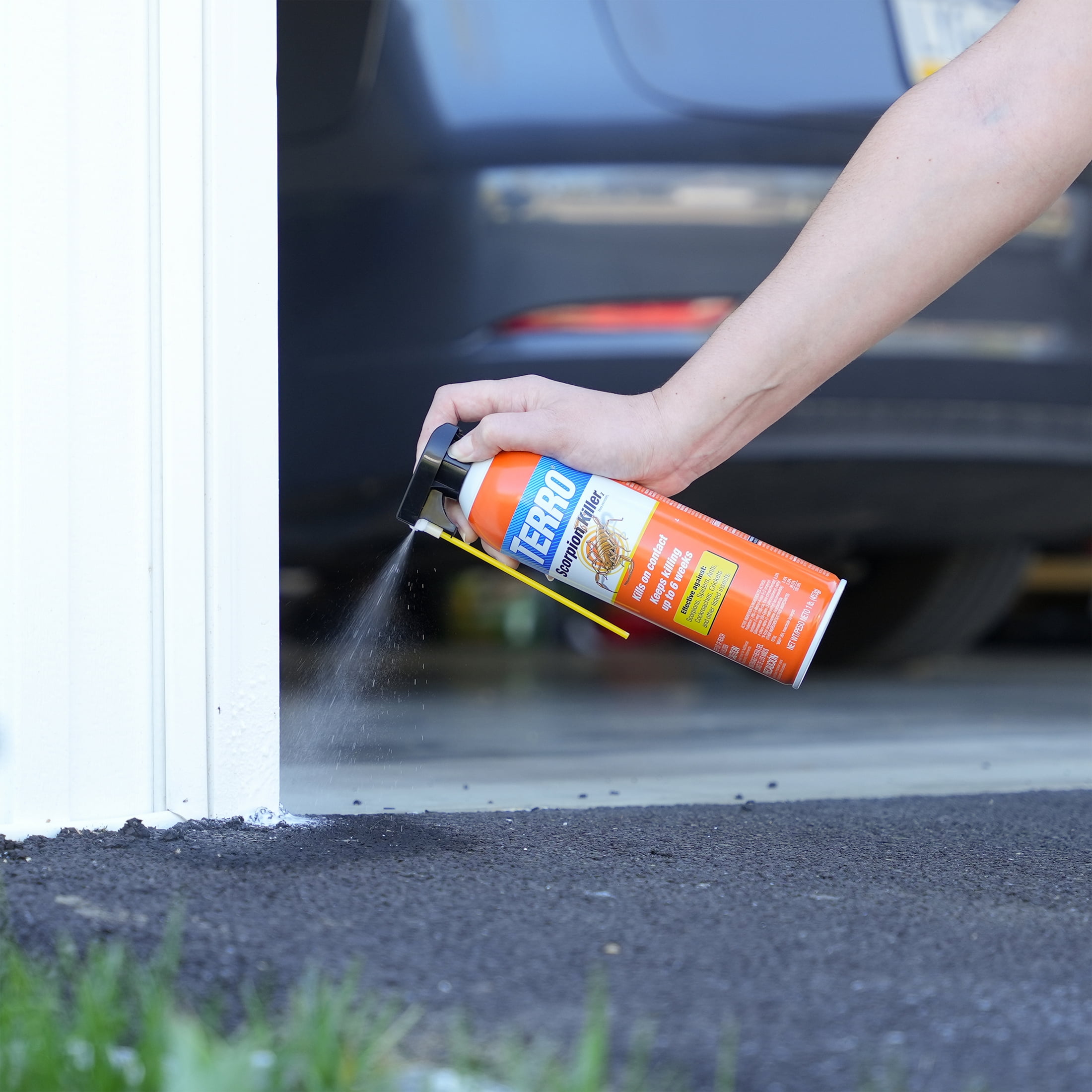 Terro 16 oz. 2-Way Spray Aerosol Spray Scorpion & Spider Killer T2102-6