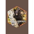 thumbnail image 2 of Tote Bag, Pagosa Springs, Colorado, Bear Cub in Birch Tree, Contour, Unisex, Reusable, Washable Canvas, Unique Art, 2 of 2