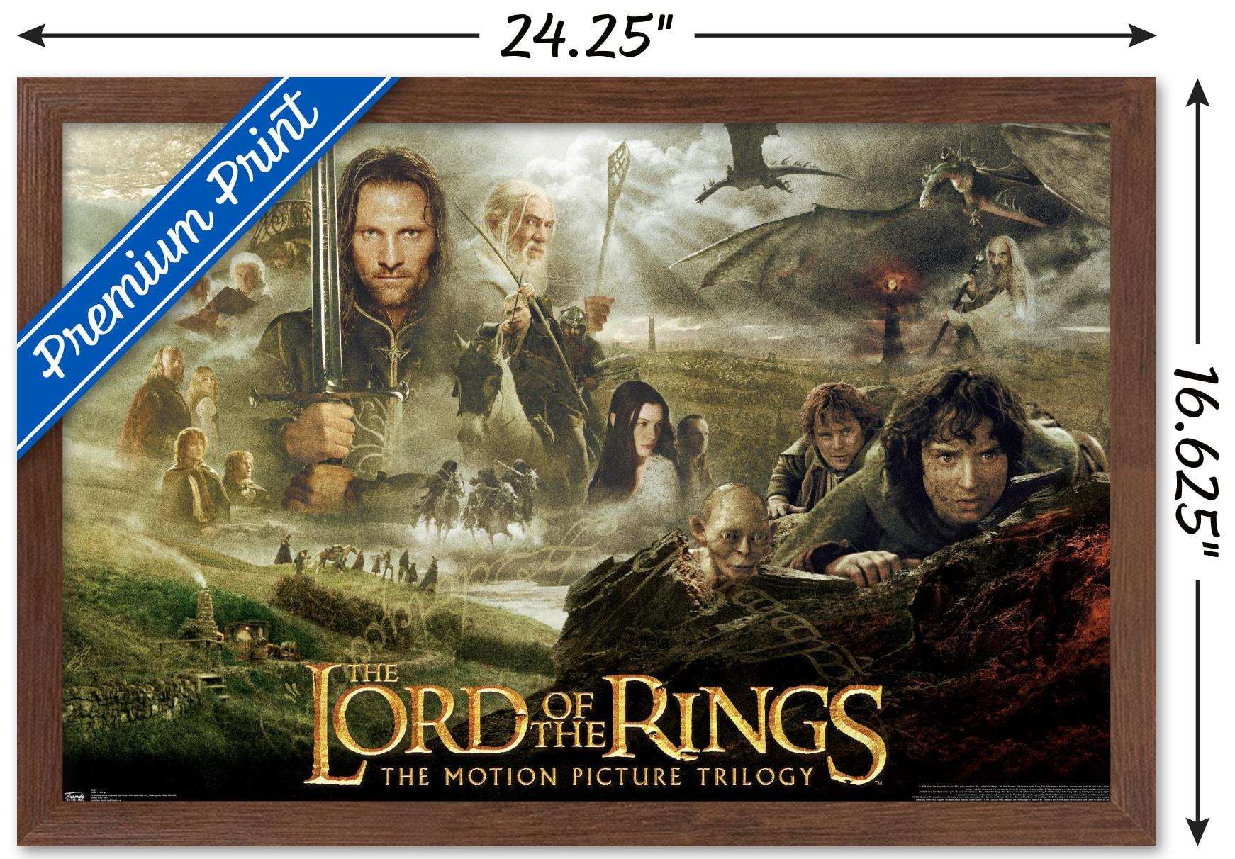 The Lord of the Rings The Motion Picture Trilogy Wall Poster with Push Pins 14.725 x 22.375 Walmart