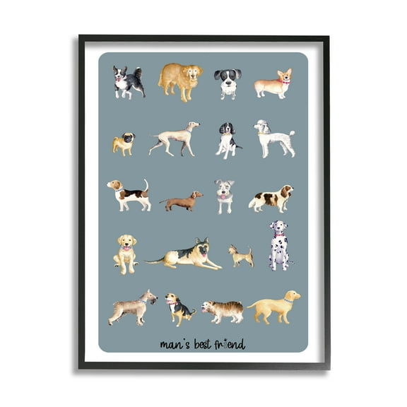 Man's Best Friend Dog Breeds Animals & Insects Graphic Art Black Framed Art Print Wall Art