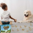 Countdown For Kids 2024 Advent Calendar Golden Animal Toys Realistic