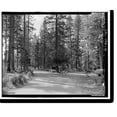 thumbnail image 2 of Historic Framed Print, Coulterville Road, Between Foresta & All-Weather Highway, Yosemite Village, Mariposa County, CA - 6, 17-7/8" x 21-7/8", 2 of 9