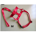 thumbnail image 1 of Faithtur Dogs Mouth Rope Gentle Halter Leash Leader Pet Mouth Traction Set Adjustable Head Collar Pet Accessories, 1 of 5
