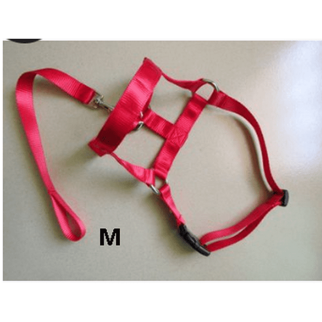 Faithtur Dogs Mouth Rope Gentle Halter Leash Leader Pet Mouth Traction Set Adjustable Head Collar Pet Accessories