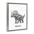thumbnail image 2 of Stupell Industries Eclectic Meet The Triceratops Gray Floating Frame Canvas Art, 17 x 21, by Christine Simpson Art, 2 of 7