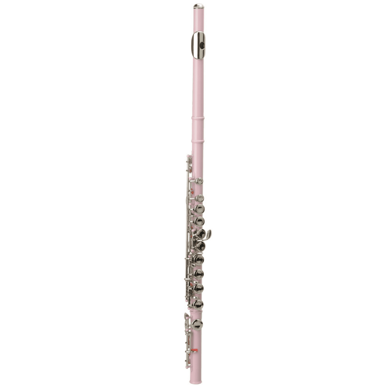 Hassch 16 Key Closed Hole C Flute with Case, Beginners Kit with Cloth, Screwdriver, Lubricant and Cleaning Rod for Learning, Pink