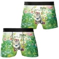 thumbnail image 3 of Persian Hello Spring Time Flower Floral Nature All Over Print Boxer Briefs Underwear for Men Dad Cat Lover Kitten Owner Gifts - 02031, 3 of 6
