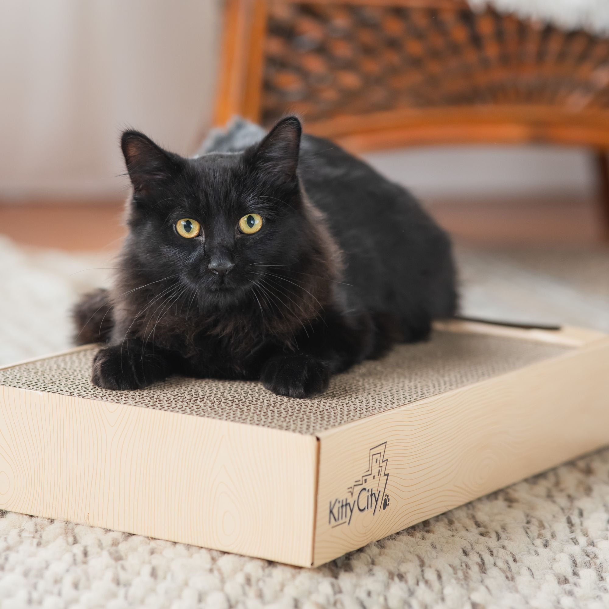 Kitty City Catnip Infused Scratchers with Ball Track