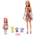 thumbnail image 1 of Barbie and Chelsea The Lost Birthday Dolls and Pets, 1 of 5