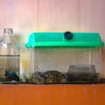 thumbnail image 2 of Shisuyan Lizard Hide Black 2Set 6.7x4.3x2.8in, 2 of 9